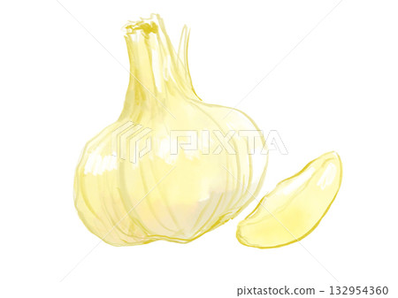 Hand-drawn watercolor illustration of a single clove of white garlic Hand-drawn watercolor illustration of a single clove of white garlic 132954360