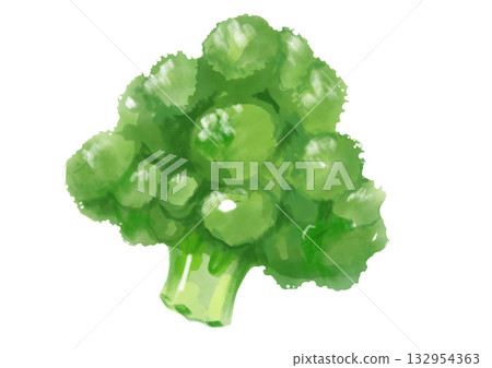 新鮮美味的西蘭花手繪水彩插圖 132954363