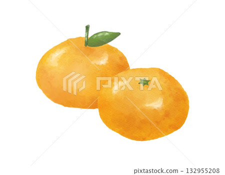 手繪水彩插畫，描繪柳橙與柑橘 | 冬季水果、食物、甜點、海報素材 132955208