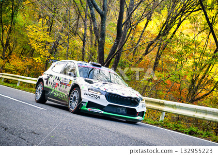 世界拉力錦標賽賽車在公共道路上行駛 132955223