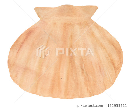 Cute scallop watercolor material 132955511