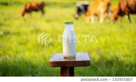 Cow herd grazing in blossom field at beautiful sunset time, healthy nutritious breakfast milk. Oat Milk in the glass. Vegan concept. Farming eating cow milk bottle 132955807