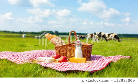 Cow herd grazing in blossom field at beautiful sunset time, healthy nutritious breakfast milk. Oat Milk in the glass. Vegan concept. Farming eating cow milk bottle Cow herd grazing in blossom field at beautiful sunset time, healthy nutritious breakfast milk. Oat Milk in the glass. Vegan concept. Farming eating cow milk bottle 132955809