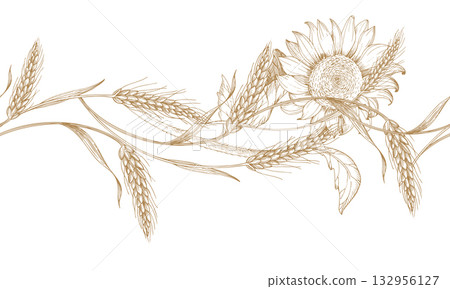 Seamless border of wheat and sunflower. Vector ink styled handmade illustration. For packaging design, cards, cover, prints, product labels and fabric. 132956127