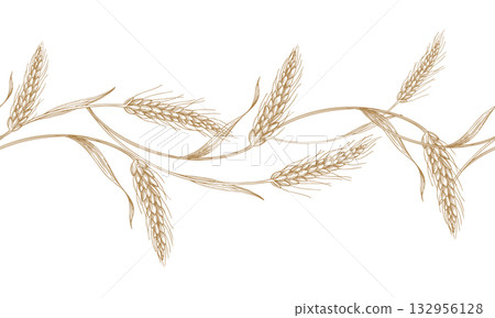 Seamless border of wheat. Vector ink styled handmade illustration. For packaging design, cards, cover, prints, product labels and fabric. Seamless border of wheat. Vector ink styled handmade illustration. For packaging design, cards, cover, prints, product labels and fabric. 132956128