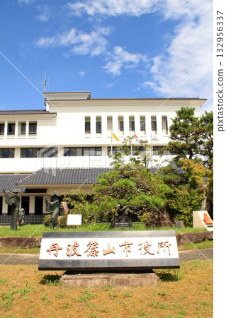 Tamba Sasayama City Hall 132956337