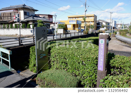 栃木市、宇和川、中洲海濱公園 栃木市、宇和川、中洲海濱公園 132956492