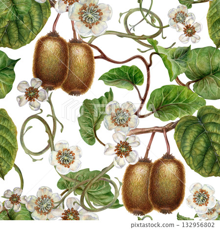 White flowers, green leaves, branches and brown fruit kiwi. Seamless pattern on a white background. Botanical template for home kitchen textiles, wrapping paper, packaging, wallpaper, scrapbook 132956802