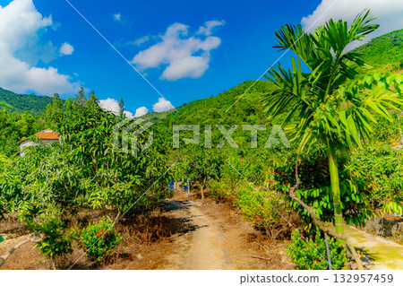 Highlands. Highlands. 132957459