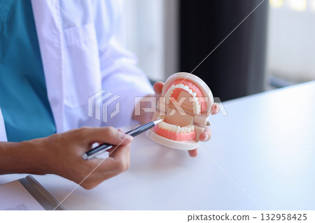 Dentist uses a dental model to explain oral health and treatments to a patient. 132958425