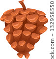 Vector pinecone illustration. 132958550