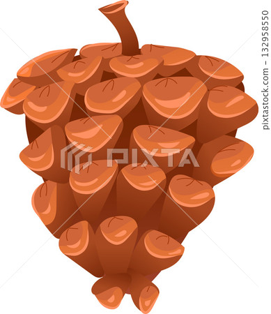 Vector pinecone illustration. 132958550