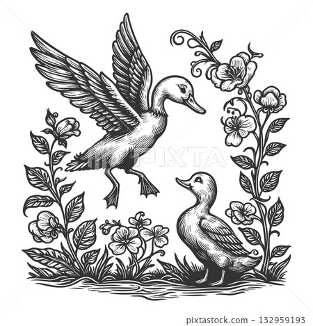 Ducks and Flowers engraving vector illustration 132959193