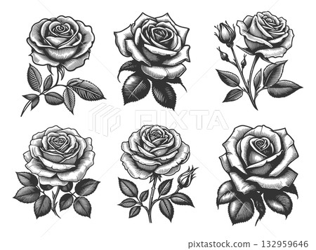 Rose Flower engraving set raster collection Rose Flower engraving set raster collection 132959646