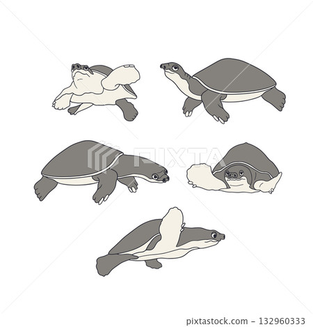 Cute hand drawn ocean turtles vector illustration set. Sea reptile clipart bundle 132960333