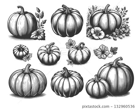 Pumpkin engraving set vector collection 132960536
