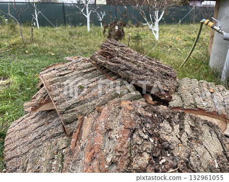 Chopping slab firewood for stove ignition Chopping slab firewood for stove ignition 132961055