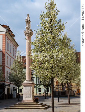 Majestic column in Bratislava's historic square, surrounded by beautifully blossoming trees. The scene captures the serene blend of architecture and nature on a spring day Majestic column in Bratislava's historic square, surrounded by beautifully blossoming trees. The scene captures the serene blend of architecture and nature on a spring day 132961159