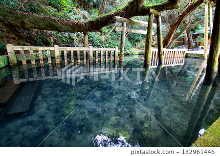 One of the three eastern shrines that are worshipped from afar during the Imperial Palace's four-way worship... "Kashima Shrine" Mitarai Pond One of the three eastern shrines that are worshipped from afar during the Imperial Palace's four-way worship... "Kashima Shrine" Mitarai Pond 132961446