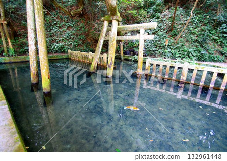 在皇宮四方參拜期間，東方三座神社之一的「鹿島神社」禦手洗池 132961448