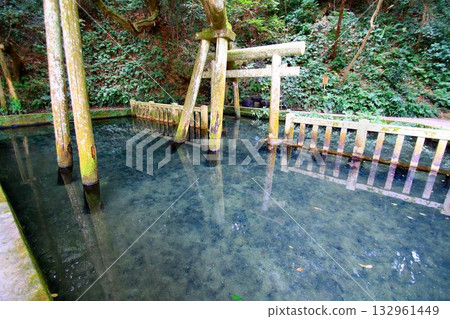 在皇宮四方參拜期間,東方三座神社之一的「鹿島神社」禦手洗池 在皇宮四方參拜期間,東方三座神社之一的「鹿島神社」禦手洗池 132961449