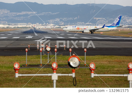 Itami Airport and ANA Flower Jet 132961575