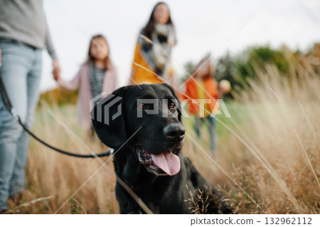 Family on dog walk in nature. 132962112