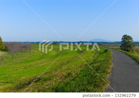 Tone River Cycling Road Right Bank November 2025 Tone River Cycling Road Right Bank November 2025 132962279