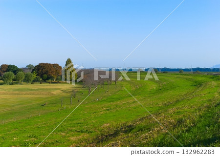 托恩河自行車道右岸 2025年11月 132962283