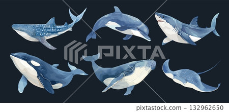 Marine animals watercolor set. Blue whale dolphin killer whale stingray whale shark, mammals wildlife ocean vector illustration 132962650