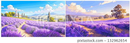 Lavender landscape cartoon set. Purple flowering field, plant essential oil grass sowing gardening agriculture vector illustration 132962654