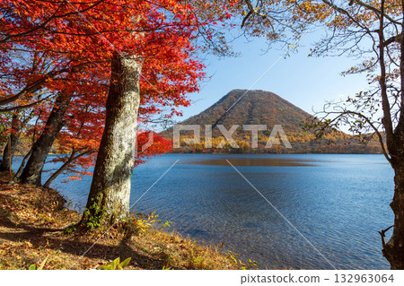 秋天的榛名山、榛名湖和榛名富士山 132963064