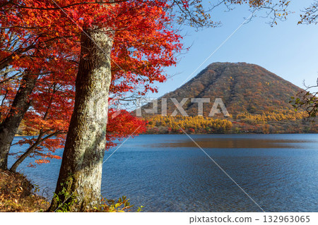秋天的榛名山、榛名湖和榛名富士山 132963065