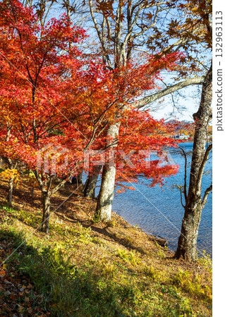 群馬縣榛名山秋天的榛名湖 132963113