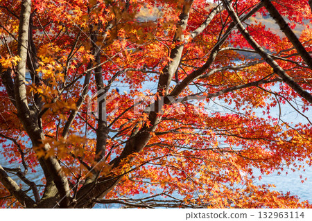 群馬縣榛名山秋天的榛名湖 132963114