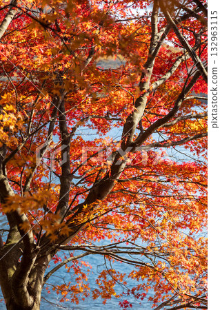 群馬縣榛名山秋天的榛名湖 132963115