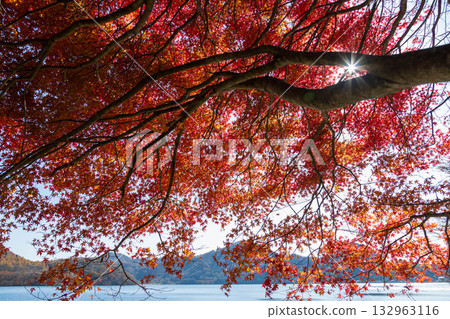 群馬縣榛名山秋天的榛名湖 群馬縣榛名山秋天的榛名湖 132963116