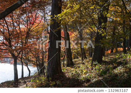 群馬縣榛名山秋天的榛名湖 132963187