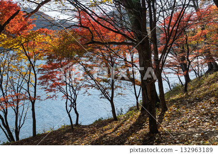 Lake Haruna in autumn, Mt. Haruna, Gunma Prefecture 132963189