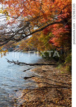 群馬縣榛名山秋天的榛名湖 132963193