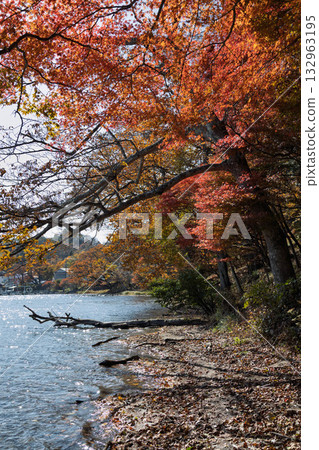 群馬縣榛名山秋天的榛名湖 132963195