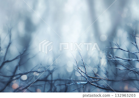 絕妙的冬季虛化背景（柔和的藍色樹木輪廓） 132963203