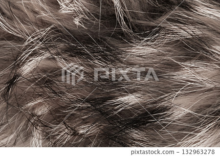 background natural gray animal wool 132963278