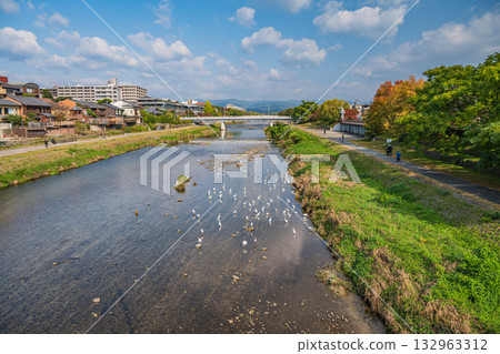 Kamogawa scenery in autumn 132963312