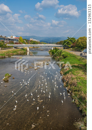 Kamogawa scenery in autumn Kamogawa scenery in autumn 132963315