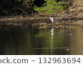 Wild birds near the pond in early spring: herons and ducks 132963694