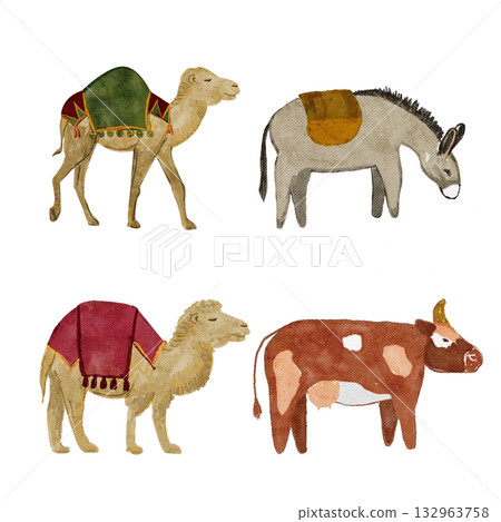 Farm and desert animals set featuring camels, donkey, and cow with decorative saddles. Hand-painted watercolor on white perfect for nativity scenes, Christmas designs, educational and travel projects 132963758