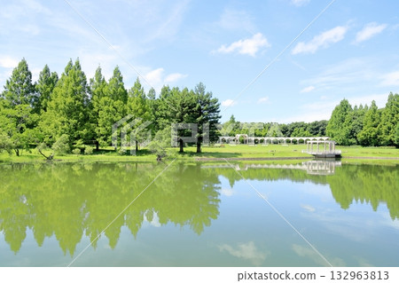 summer park 132963813