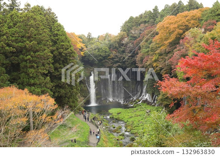 Shiraito Falls and Autumn Leaves 132963830