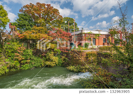 Autumn scenery of Lake Biwa Canal, Kyoto City 132963905